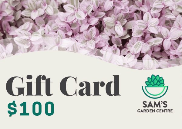 Sam's Nursery Plant Gift Card $100