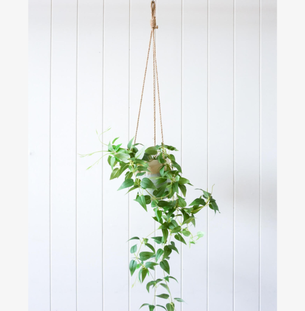 Natural Blue Hanging Planter with Plant