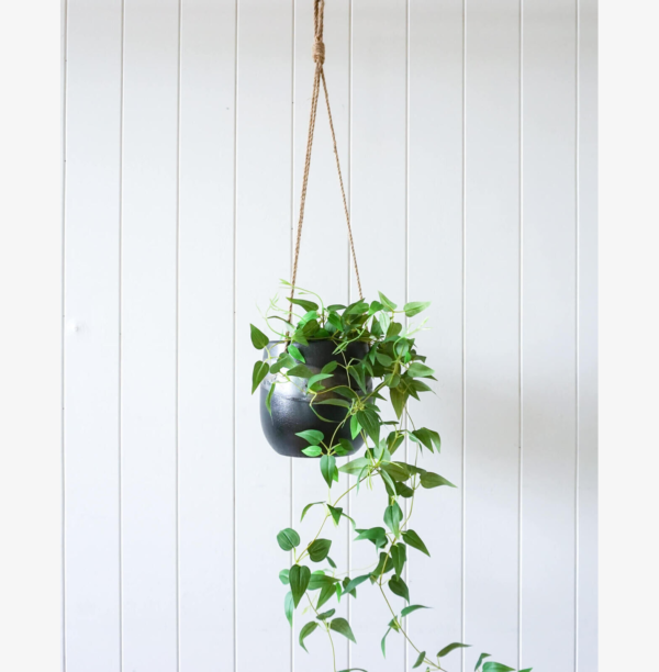 Black Hanging Planter with Plant