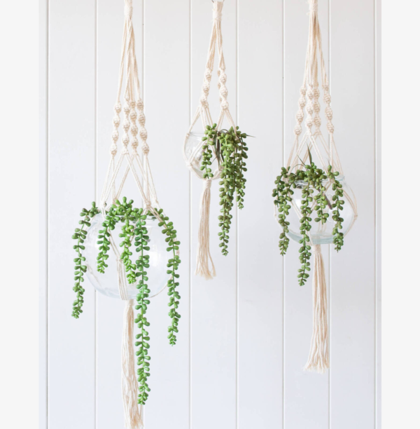 Hanging Glass Pot with Jute Rope and Plants