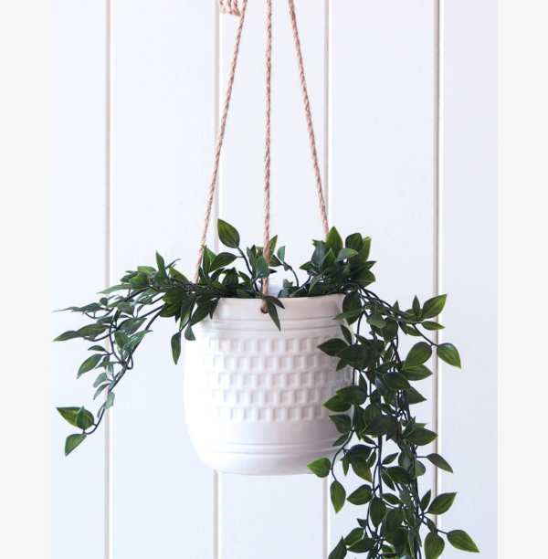 White Hanging Planter with Plant