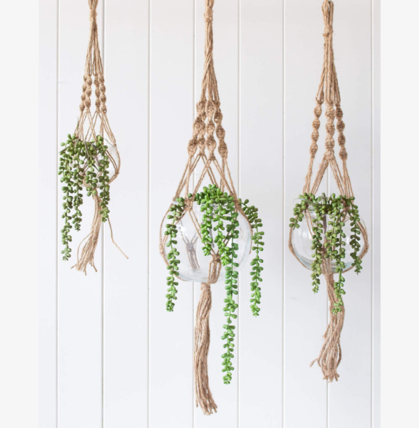 Hanging Glass Pot with Jute Rope and Plants