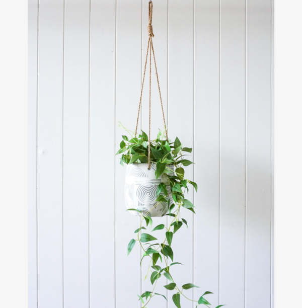 White Zebra Hanging Planter with Plant